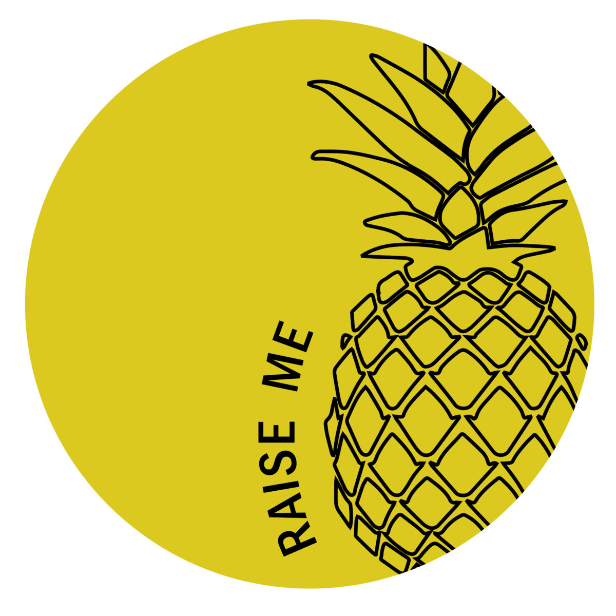 Raise Me Logo JPEG 1